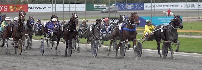 American Dealer (10) is only battling in behind the top four in today’s Three-Year-Old Emerald, from inside out, Krug, winner B D Joe, Ragazzo Mach and Hot And Treacherous.