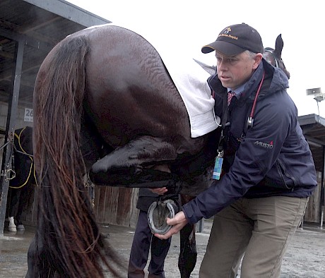 Greg Sommerville found nothing amiss with Copy That but noted often problems don’t surface when horses are still warm.