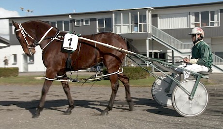 How Spice It Up (Zachary Butcher) looked at Franklin Park’s yearling parade in August, 2019.