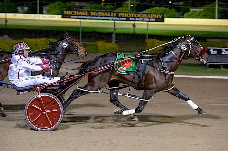 Two years ago Make Way was campaigning in Queensland where he won the Redcliffe Derby. PHOTO: Michael McInally.