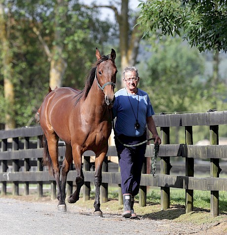 Trainer Ray Green persevered with Spice It Up.