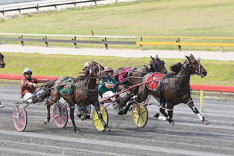 Bondi Shake, pictured winning last December, is a top three chance on Wednesday. PHOTO: Dan Costello.