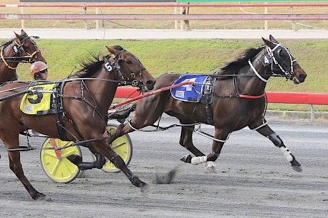 Man Of Action … sits on a 27-race losing streak but had trainer-driver Al Barnes smiling after last start.