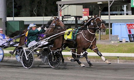 Copy That is too good in the Sunshine Sprint but he has a much harder task at Albion Park on Saturday night. PHOTO: Dan Costello.