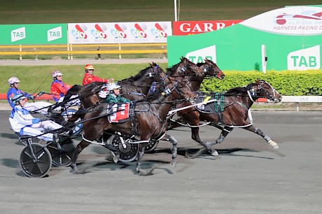 American Dealer, pictured winning the South East Derby, is a lot stronger now than when he finished behind Krug in the New Zealand Derby and Great Northern Derby. PHOTO: Dan Costello.