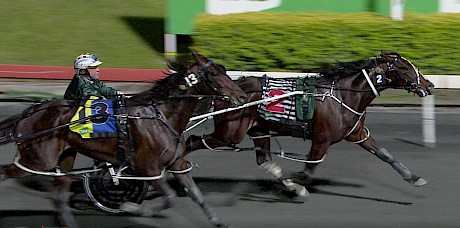 American Dealer is going strongly at the finish of the Queensland Derby, beating Captain Crusader.