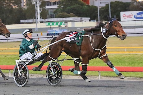 Tommy Lincoln goes all-the-way again for Anthony Butt at Albion Park last Saturday night. PHOTO: Dan Costello.