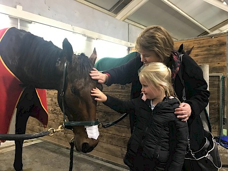 Co-owner Debbie Sparks introduces her niece Lara to the docile Tommy Lincoln at Alexandra Park.