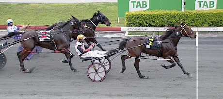 Captain Nemo toughs it out at Albion Park tonight after sitting three wide without cover for the last lap.