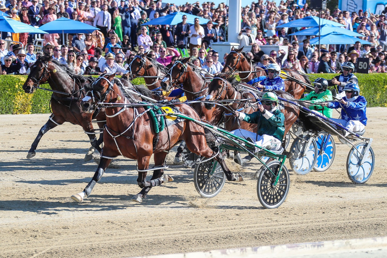 Copy That scores back-to-back NZ Cup wins