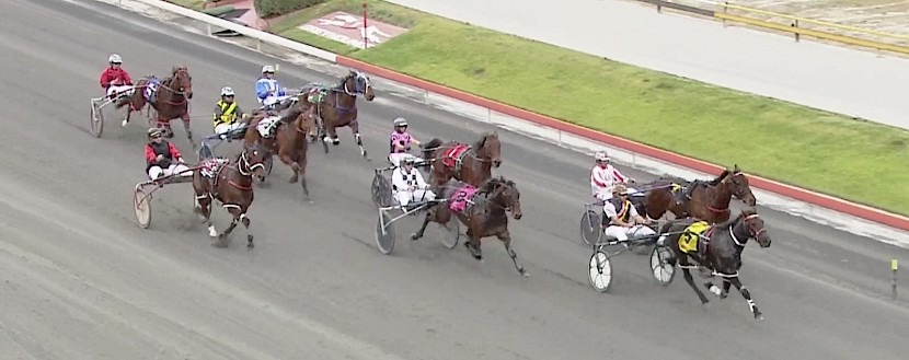 Northview Hustler scores in a trial at Albion Park on Tuesday.