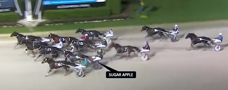 Sugar Apple finished close up sixth last start at Auckland after getting no favours in the running.
