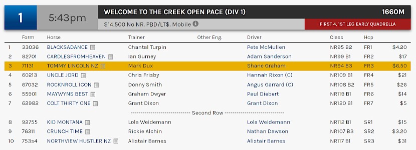 Tommy Lincoln races at 7.43pm NZ time at Albion Park on Saturday night.