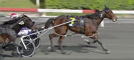 Tommy Lincoln has Mach Da Vinci well covered at Albion Park tonight.