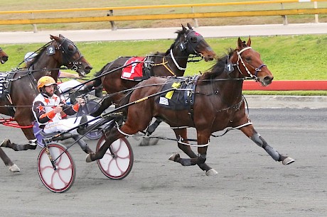 Captain Nemo scores three starts back after showing incredible grit three wide in the running. PHOTO: Dan Costello.