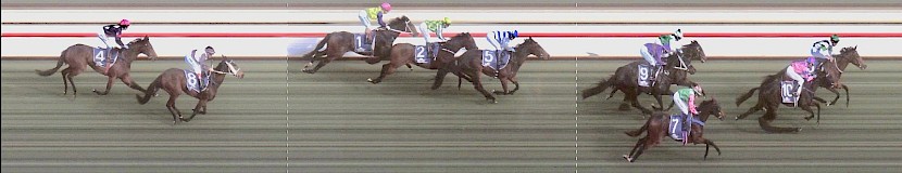 Platinum Machine is fifth, but only a head and half a neck from third, in the Castletown Stakes at Wanganui won by Danger Strykes.