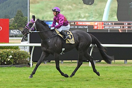 Lisa Allpress will be reunited with capable galloper Lincoln’s Kruz. PHOTO: Peter Rubery/Race Images.