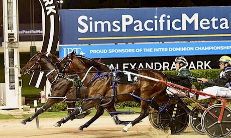 Arden’s Horizon beats Mitch at Alexandra Park in March. PHOTO: Megan Liefting/Race Images.