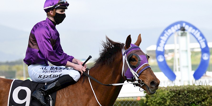Ryan Elliot brings back Platinum Bordeaux, finally a winner at her 26th start. PHOTO: Peter Rubery/Race Images.