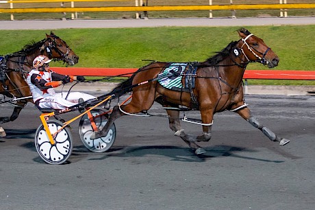 Trainer Mark Dux gets Captain Nemo home for back-to-back wins at Albion Park last week. PHOTO: Dan Costello.