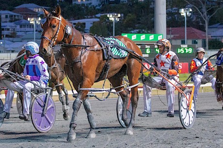 Mark Dux will have to relinquish the reins on Captain Nemo next week. PHOTO: Dan Costello.