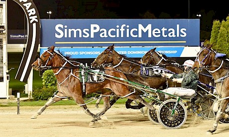 Copy That downs Bad To The Bone in the Spring Cup at Alexandra Park. PHOTO: Megan Liefting/Race Images.