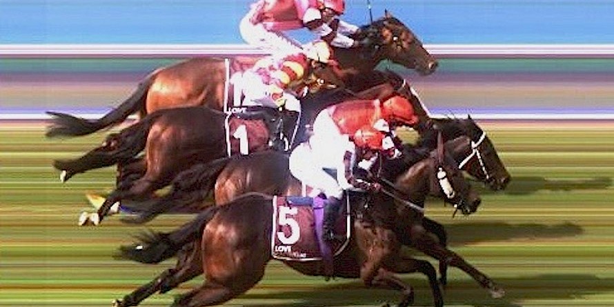 Louie Lincoln gets the judge’s nod at Invercargill with only two heads and a nose separating the first four home.