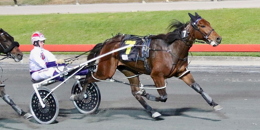 Tommy Lincoln is still racing well but has had a long, tough campaign. PHOTO: Dan Costello.