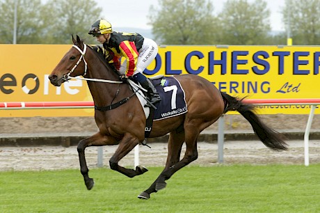 Premiership leader Danielle Johnson reunites with Lincoln King at Riccarton on Saturday. PHOTO: Trish Dunell.