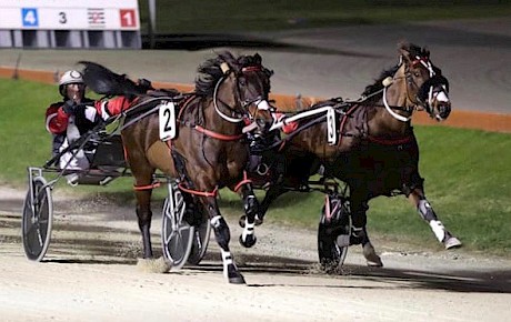 Diamond Racing’s Classie Brigade, outer, and Henry Hubert both have appealing 3200 metre credentials. PHOTO: Addington Raceway.