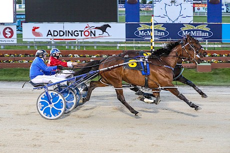 Self Assured, outer, is unbeaten in three starts at 3200 metres while South Coast Arden, inner, has yet to prove himself at the trip. PHOTO: Addington Raceway.