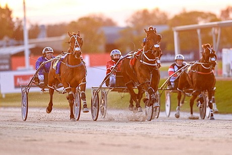 Self Assured, left, and South Coast Arden, middle, will both need a lot of early luck. PHOTO: Addington Raceway.