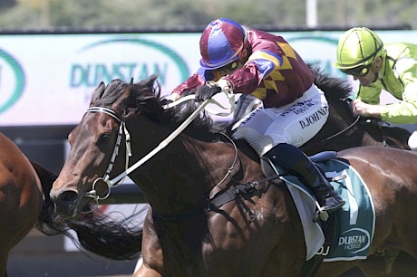 New Zealand Cup favourite Beaudz Well (Danielle Johnson) winning a Dunstan Feeds Qualifier at Ellerslie last year.