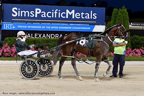 Maurice McKendry brings back Copy That after a 10 out of 10 drive. PHOTO: Megan Liefting/Race Images.