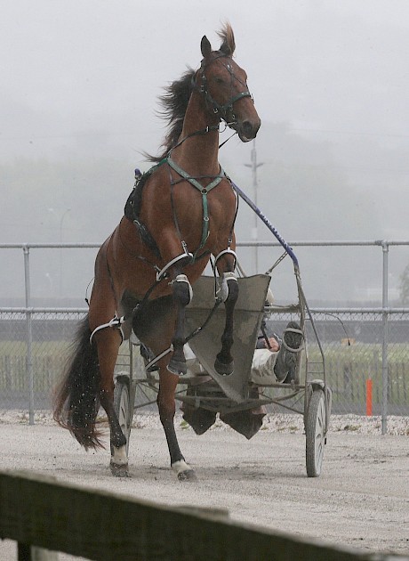 Nirvana Franco … looks Lincoln Farms’ best chance on Friday night.