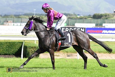 Hazel Schofer returns with little Lincoln Star. PHOTO: Peter Rubery/Race Images.