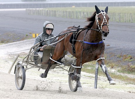 Major Grace … gets her chance to pay a dividend from the ace draw. PHOTO: Trish Dunell.