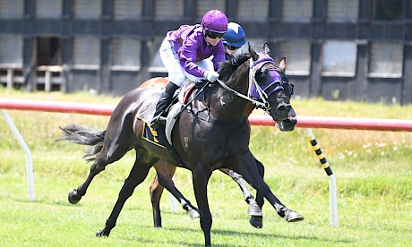Lisa Allpress presses the button and Lincoln’s Kruz races clear at Tauherenikau. PHOTO: Peter Rubery/Race Images.