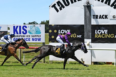 Lincoln’s Kruz and Lisa Allpress have Hold The Press well covered at Tauherenikau. PHOTO: Peter Rubery/Race Images.