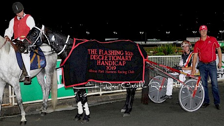 The glory days of Northview Hustler - after his Queensland debut win in the Flashing Red at Albion Park in 2019. PHOTO: Dan Costello.