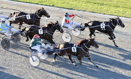 Beaudiene Rocknroll’s half brother Beaudiene Boaz, wide out, wins the Two-Year-Old Harness Emerald at Cambridge.