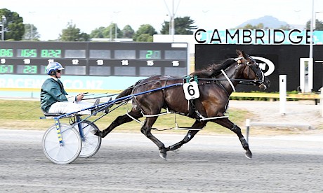 Bet On The Tiger (Zachary Butcher) cruises home at Cambridge. PHOTO: Chanelle Lawson.