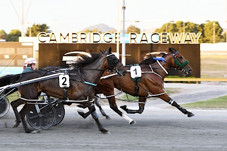 Louie The Punter goes all the way to beat Rocknroll Roulette at Cambridge. PHOTO: Chanelle Lawson.