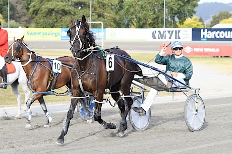 Zachary Butcher salutes bringing Bet On The Tiger back to scale after his easy win at Cambridge last week. PHOTO: Chanelle Lawson.