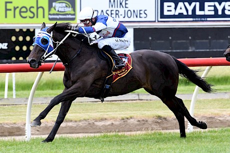 Marsh’s second cup runner Starrybeel has been in good form, including this win at Te Aroha under Michael McNab.