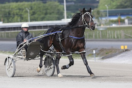 Lincoln River … his debut run was better than it looked. PHOTO: Trish Dunell.