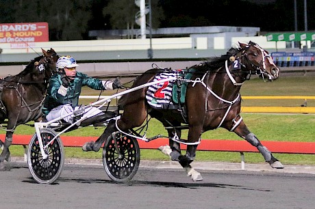 Anthony Butt drives another great race to get American Dealer home in the Queensland Derby. PHOTO: Dan Costello.