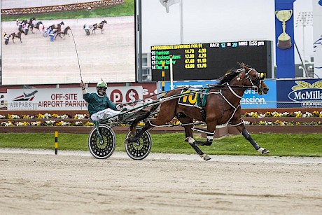 Copy That won Group I races on both sides of the Tasman, including the New Zealand Cup. PHOTO: Ajay Berry/Race Images.