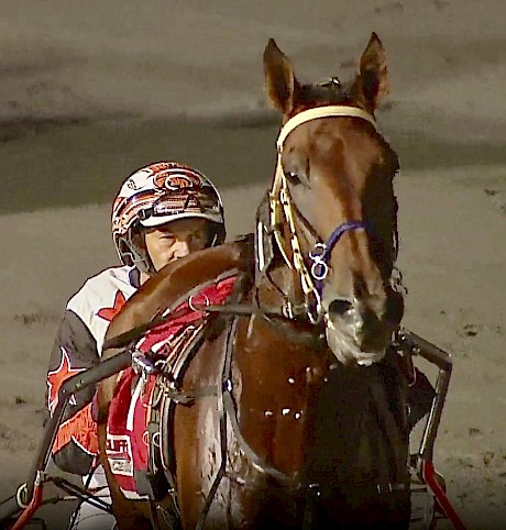 Mark Dux brings back Captain Nemo after his all-the-way win at Redcliffe last Saturday night.