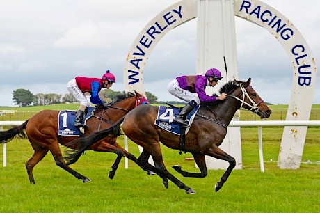 Lincoln Rocks sweeps home to beat Kingfisher Lad. PHOTO: Peter Rubery/Race Images.